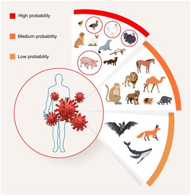 Influenza risks arising from mixed intensive pig and poultry farms, with a spotlight on the United Kingdom